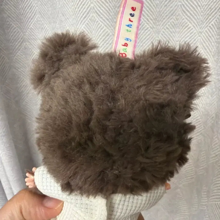 [BUNJANG] Baby GOM 80 Photocard / 베이비쓰리 곰 80
