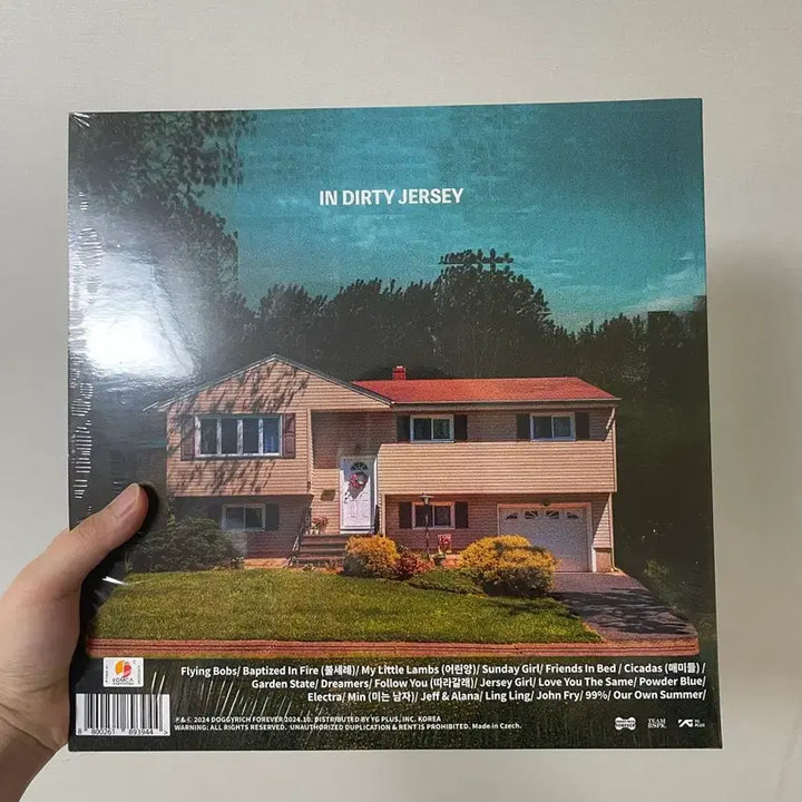 [BUNJANG] The Black Skirts Tint Trouble LP / 검정치마 틴트러블 lp