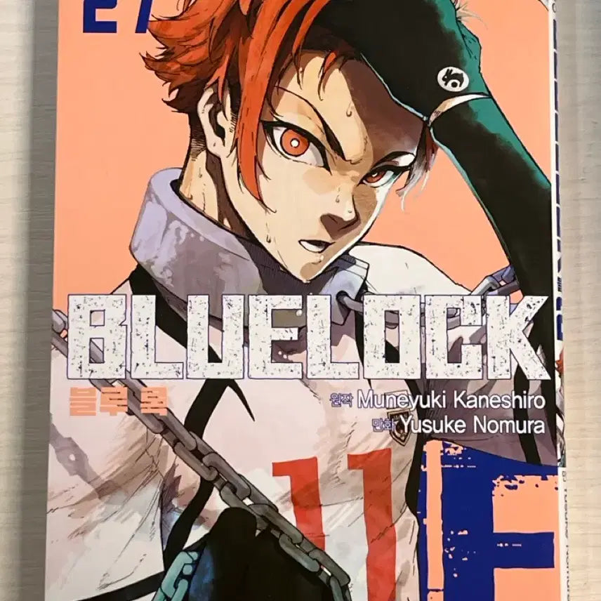[SOLD OUT] 블루록 만화책 27, 29권 급처