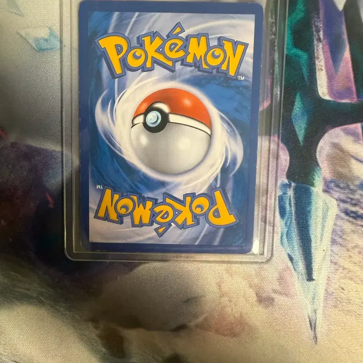 [BUNJANG] Pokemon Card Lusamine SR / 루자미네 sr 포켓몬카드