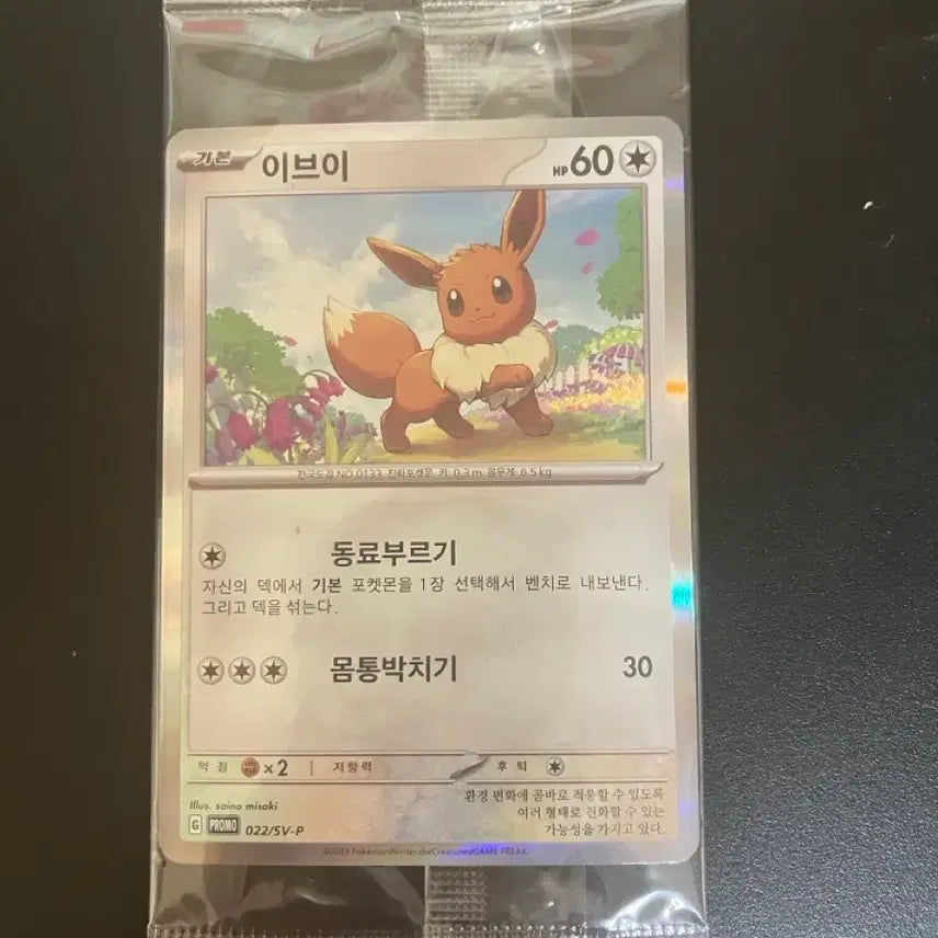 [BUNJANG] Pokemon Card Eevee Promo (Sealed) / 포켓몬카드 이브이 프로모