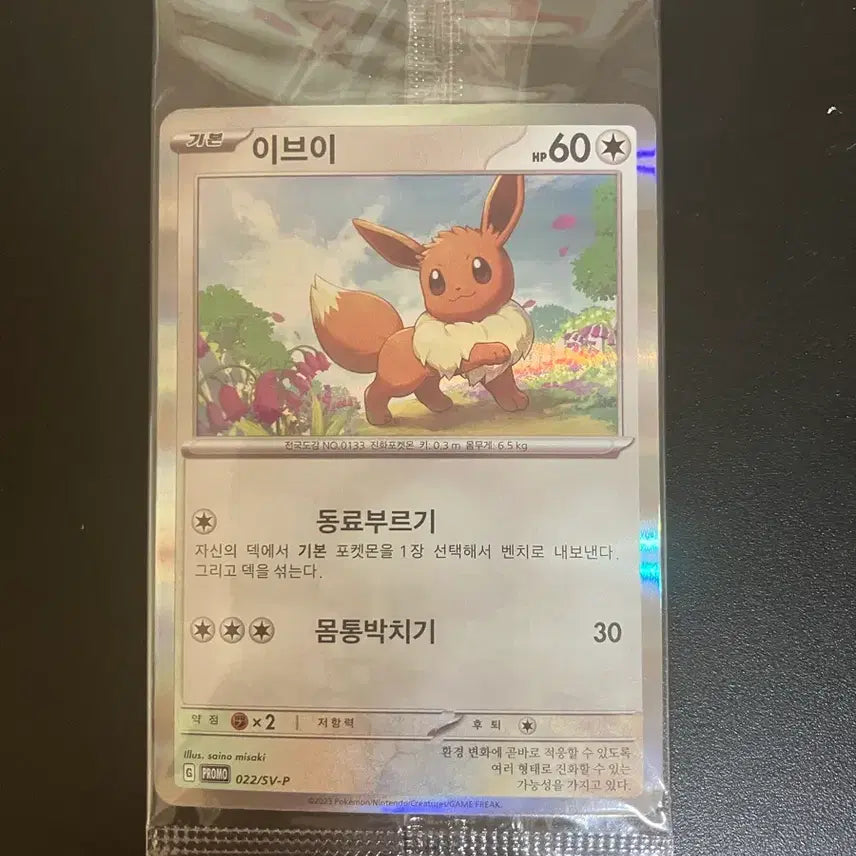 [SOLD OUT] 포켓몬카드 이브이 프로모 미개봉
