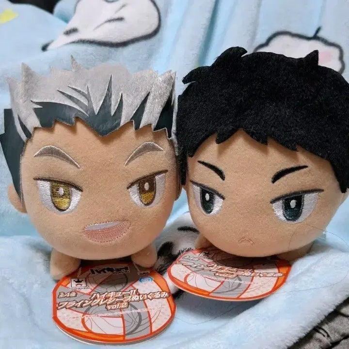 [BUNJANG] Haikyu!! Flying Receive Bokuto Akaashi Figure Set / 하이큐 플라잉리시브 보쿠아카