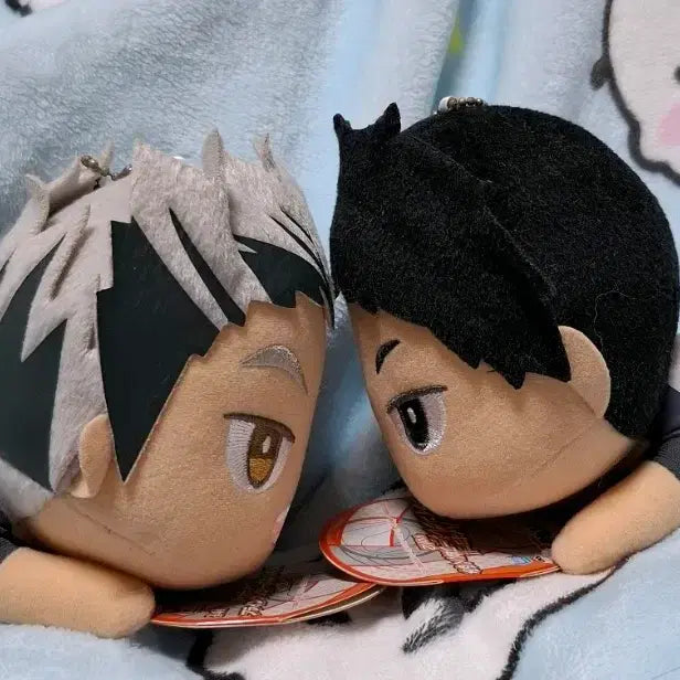 [BUNJANG] Haikyu!! Flying Receive Bokuto Akaashi Figure Set / 하이큐 플라잉리시브 보쿠아카