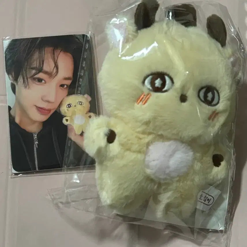 [BUNJANG] Park Ji Hoon "So Simi" Doll + Photocard / 박지훈 소심이 인형 + 포카 양도