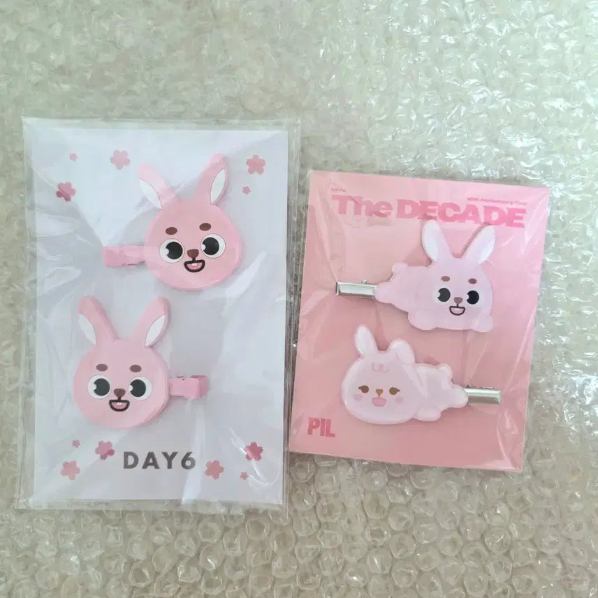 [BUNJANG] Day6 Japan Yokohama Hairpin Bundle Set / 데이식스 일본 요코하마 헤어핀 머리핀