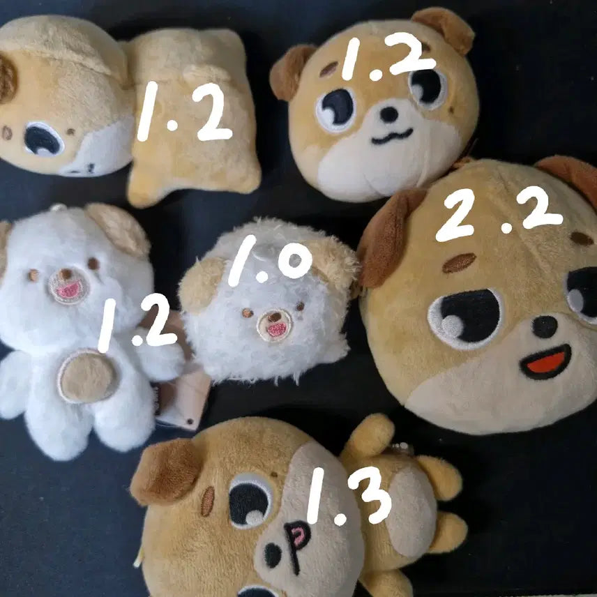 [BUNJANG] DAY6 Dowoon Denimals Hand Warmer, Face Keyring, Pouch, Mirror, and Under Tones Apparel / 데이식스 도운 우치와 데니멀즈 자이언트 돈 토리와호수니 후즈팬 집샵 양도
