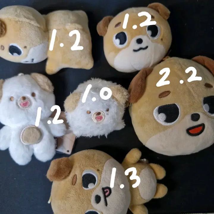 [BUNJANG] DAY6 Dowoon Denimals Hand Warmer, Face Keyring, Pouch, Mirror, and Under Tones Apparel / 데이식스 도운 우치와 데니멀즈 자이언트 돈 토리와호수니 후즈팬 집샵 양도