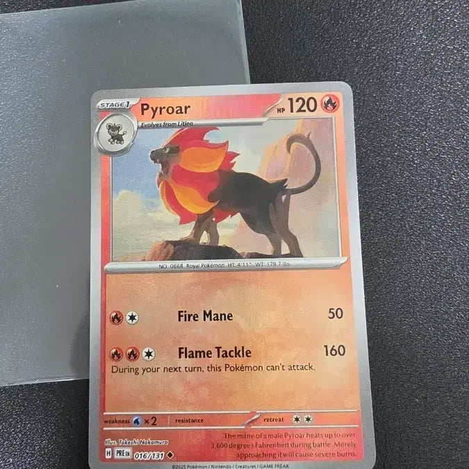 [BUNJANG] Pokemon TCG Pyroar Master Ball English Edition / 포켓몬 카드 화염레오 Pyroar 마스터볼 북미판 영판