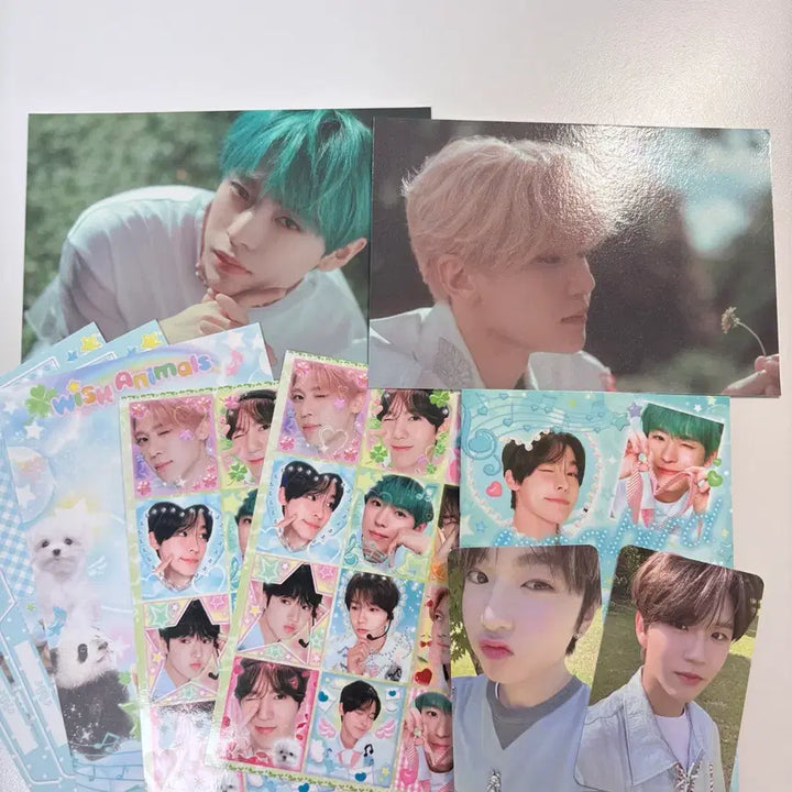 [BUNJANG] NCT WISH Songbird Unsealed Album / 엔시티위시 송버드 개봉 앨범