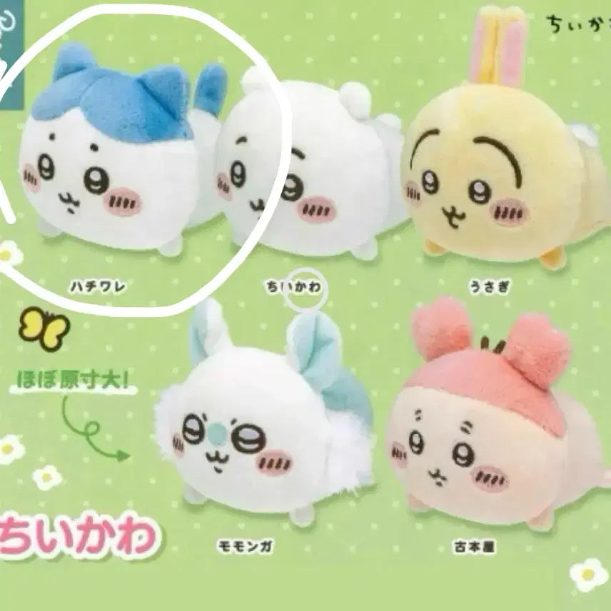 [BUNJANG] Chiikawa Hachware Plush Doll / 하치와레 누이구루미 치이카와