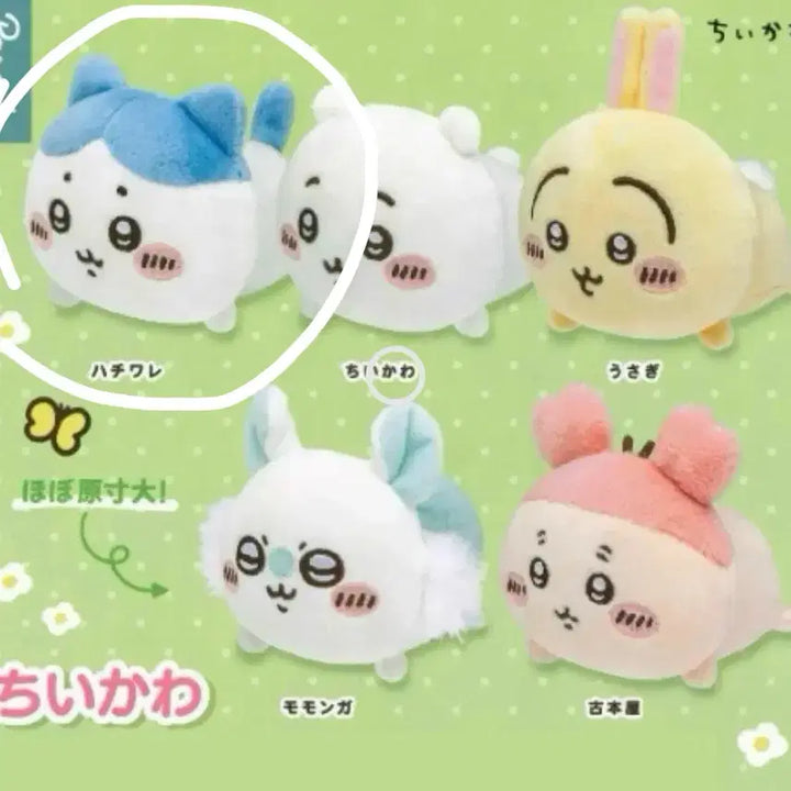 [BUNJANG] Chiikawa Hachware Plush Doll / 하치와레 누이구루미 치이카와