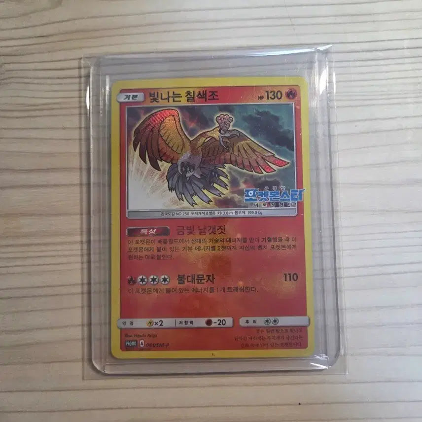 [BUNJANG] Shining Bird of Paradise / 빛나는 칠색조