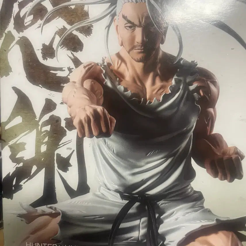 [BUNJANG] Hunter x Hunter Netero HUNTING ARCHIVES Figure (Sealed) / [미개봉] 헌터x헌터 네테로 HUNTING ARCHIVES 피규어