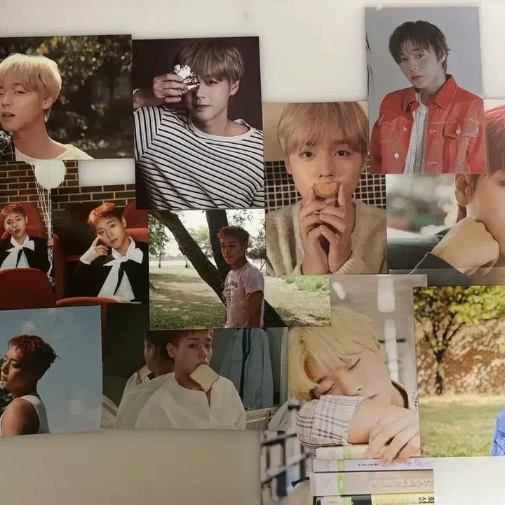 [BUNJANG] Park Jihoon Postcard Collection Bundle Set / 박지훈 엽서 모음집 일괄 판매!!