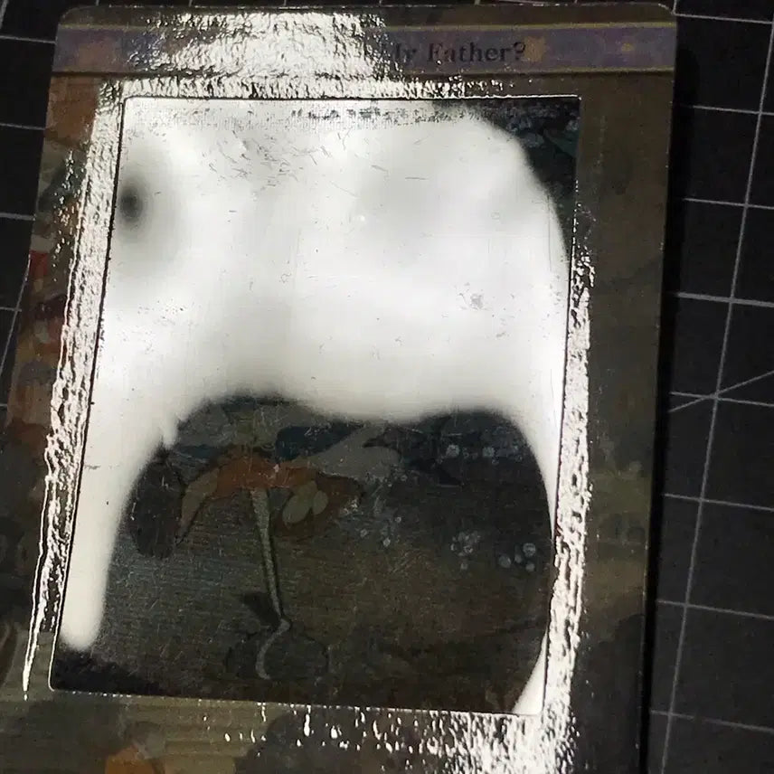 [BUNJANG] Disney Film Card Pinocchio / 디즈니 필름 카드 - 피노키오