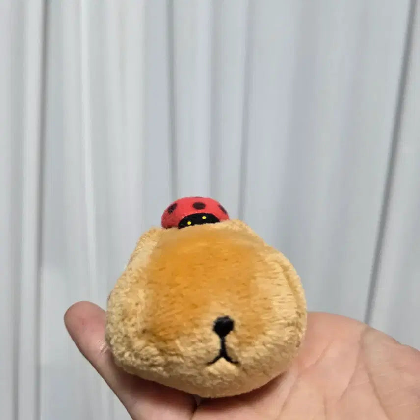 [BUNJANG] Vintage Capybara Wind-up Toy / 빈티지 토이 캐릭터 굿즈 고전 만화 인형 산엑스 카피바라상  태엽 작동