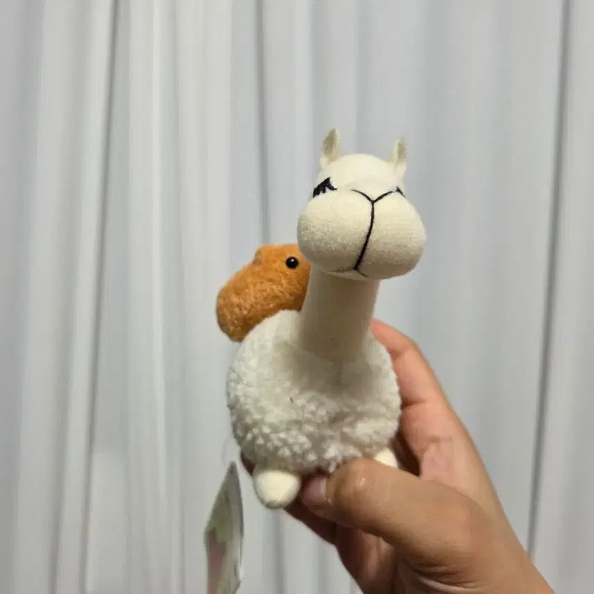 [BUNJANG] Vintage San-X Kappabara-san &amp; Alpaca Couple Plush Set / 빈티지 토이 캐릭터 굿즈 고전 만화 인형 산엑스 카피바라상 알파카 커플