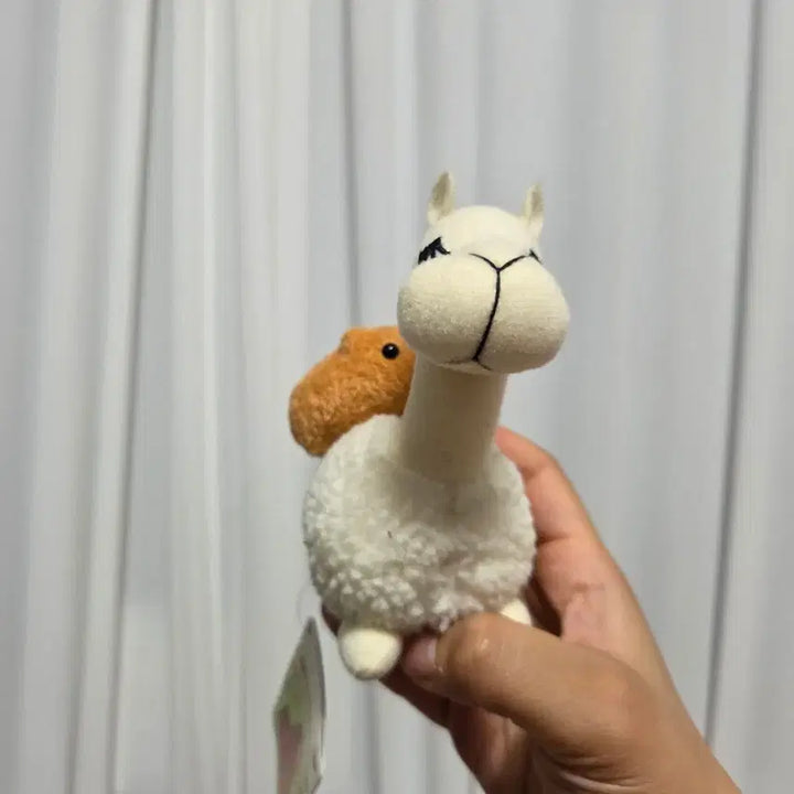 [BUNJANG] Vintage San-X Kappabara-san &amp; Alpaca Couple Plush Set / 빈티지 토이 캐릭터 굿즈 고전 만화 인형 산엑스 카피바라상 알파카 커플