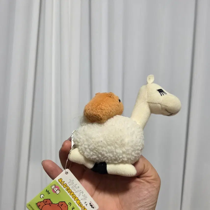 [BUNJANG] Vintage San-X Kappabara-san &amp; Alpaca Couple Plush Set / 빈티지 토이 캐릭터 굿즈 고전 만화 인형 산엑스 카피바라상 알파카 커플