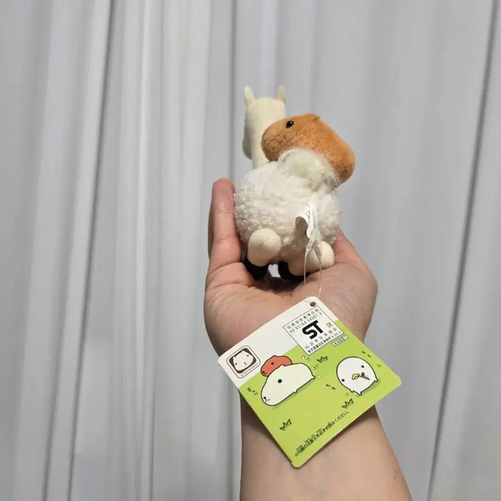 [BUNJANG] Vintage San-X Kappabara-san &amp; Alpaca Couple Plush Set / 빈티지 토이 캐릭터 굿즈 고전 만화 인형 산엑스 카피바라상 알파카 커플