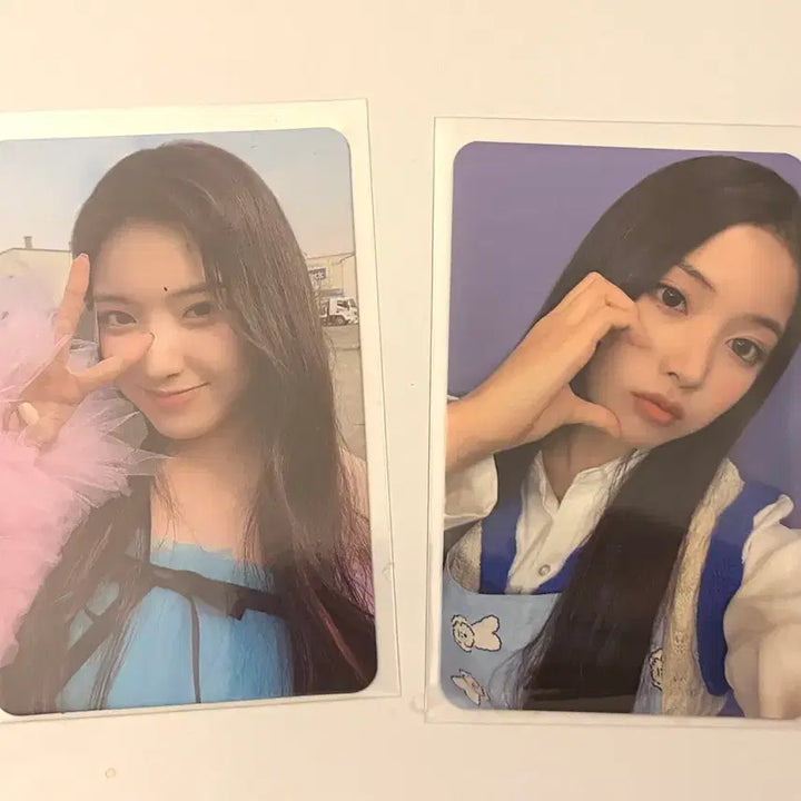 [BUNJANG] NMIXX Jiwoo Bundle Set Photocard / 엔믹스 지우 포토카드 일괄