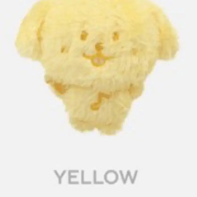 [BUNJANG] Color Wish Doll Jaehee Yellow / 컬러위시돌 댕트 노랑색