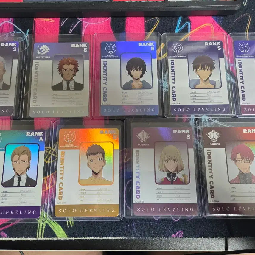 [BUNJANG] Solo Leveling ID Card Full Set / 나혼렙 나혼자만레벨업 카드 ID카드 풀셋