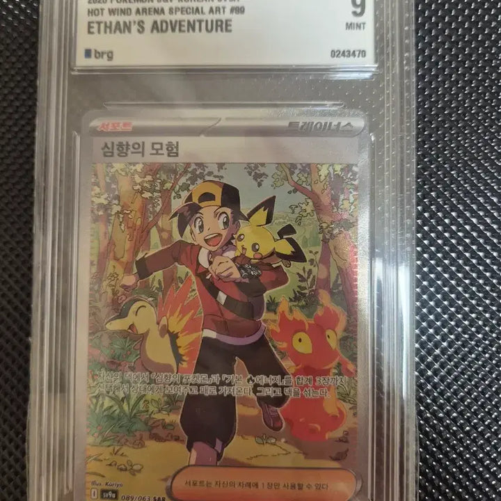 [BUNJANG] Pokemon SAR Cards (3 Types) Graded 9 Bundle Set / 포켓몬 sar3종 BRG9일괄판매