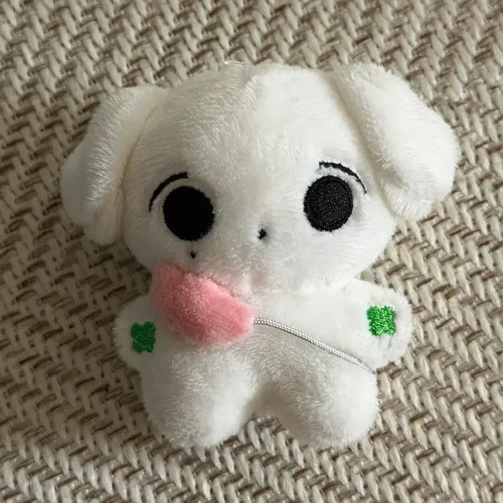[BUNJANG] SEVENTEEN Jeonghan "Jjongmeong" Doll with Tulip Bag / 쫑멍이 세븐틴 정한 인형
