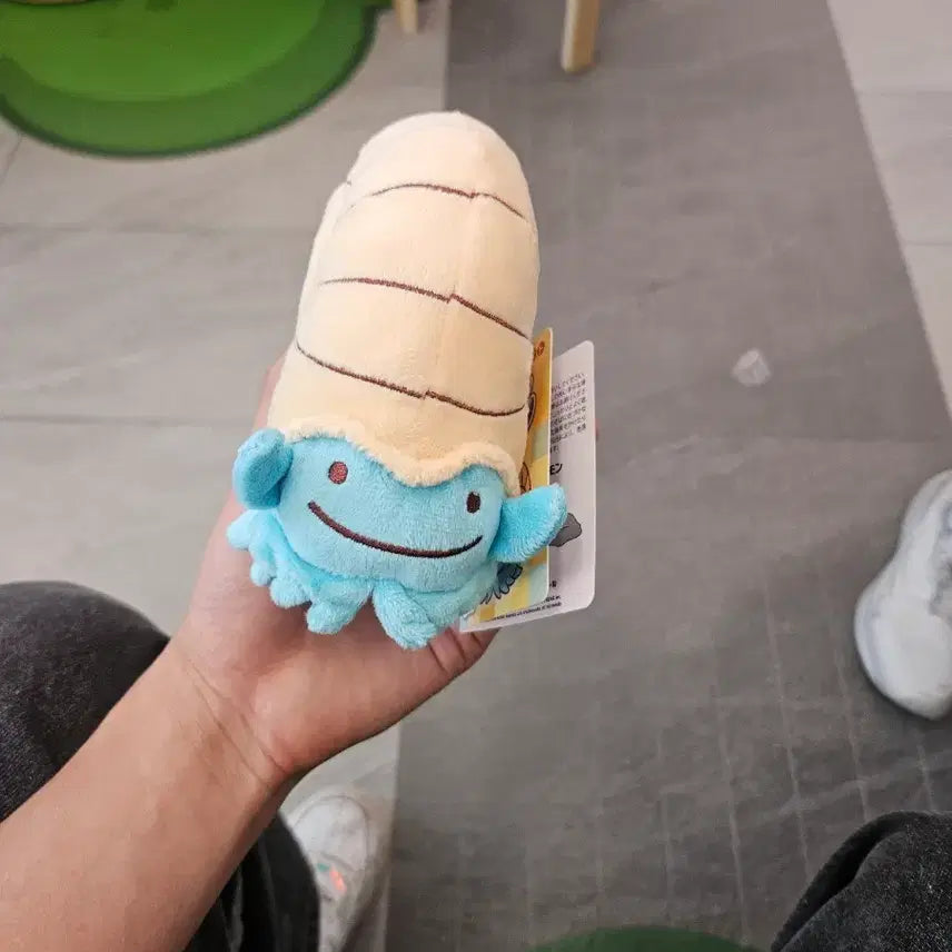 [BUNJANG] Pokemon Metamon Transformation Amnite New Product / 포켓몽 성수 변신메타몽 암나이트 새상품