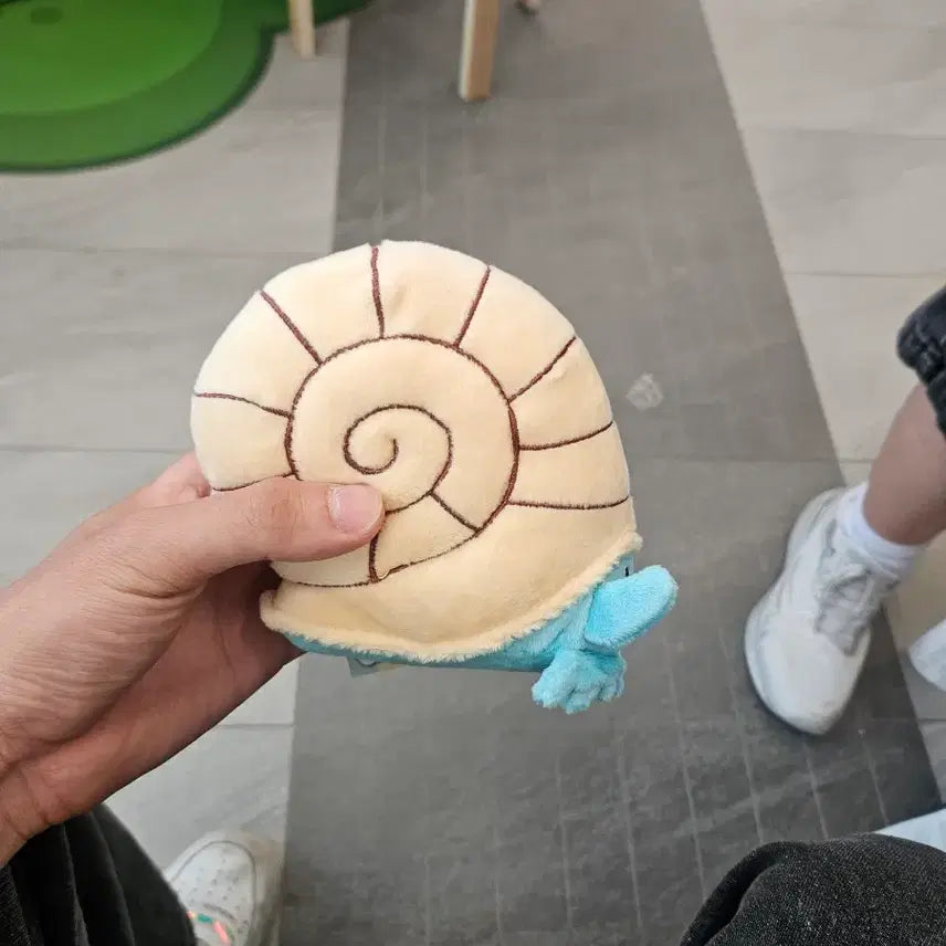 [BUNJANG] Pokemon Metamon Transformation Amnite New Product / 포켓몽 성수 변신메타몽 암나이트 새상품