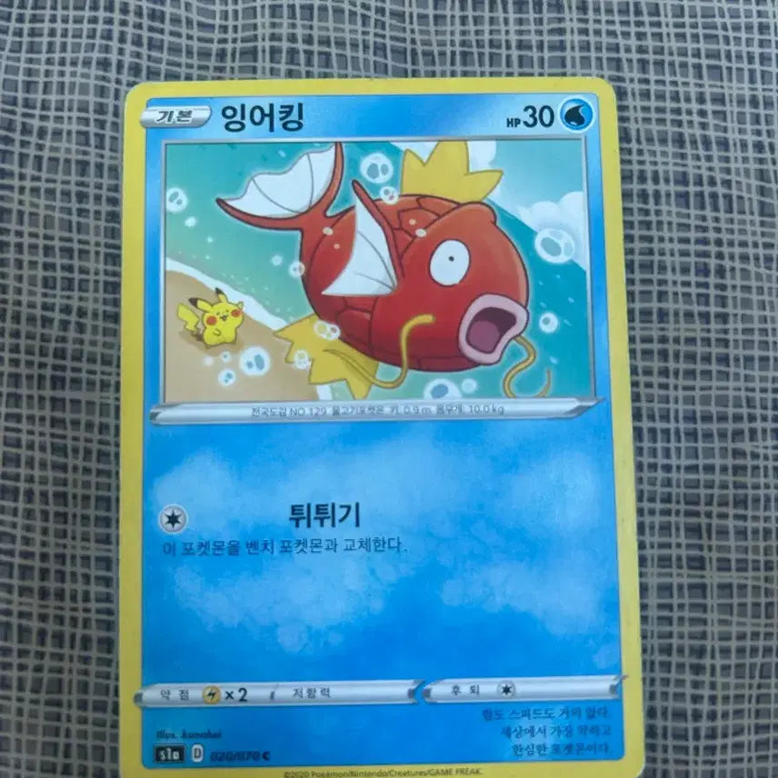 [BUNJANG] Kanamei Magikarp Bundle Set / 카나헤이 잉어킹 팝니다