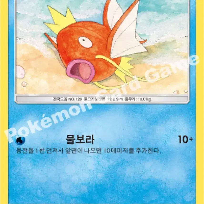 [BUNJANG] Kanamei Magikarp Bundle Set / 카나헤이 잉어킹 팝니다