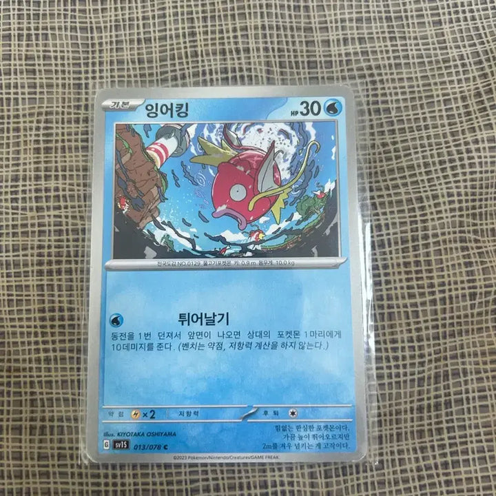 [BUNJANG] Kanamei Magikarp Bundle Set / 카나헤이 잉어킹 팝니다