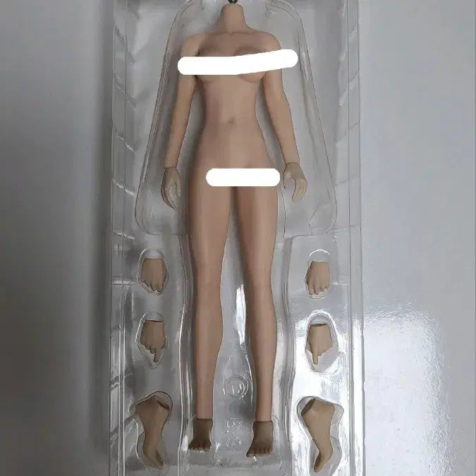 [BUNJANG] TBLeague 1/6 Scale S26A Female Body Figure / TBLeague 1/6 소녀 바디 ( S26A )