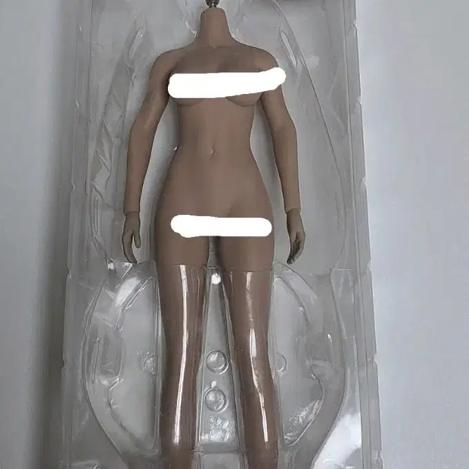[BUNJANG] TBLeague 1/6 Female Body (S43A) Tan Skin Tone / TBLeague 1/6 여성 바디( S43A)