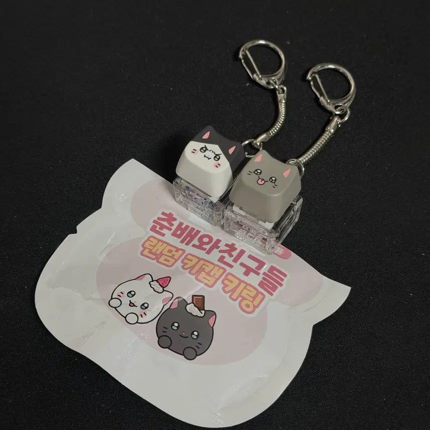 [BUNJANG] NyahanNamja 101 Baekdabang Collaboration Chunbae Keycap Keychain Minsu &amp; Yeongcheol Bundle Set / [냐한남자] 빽다방 콜라보 춘배 키캡 키링 민수&amp;영철