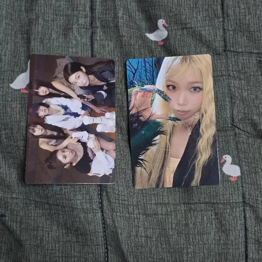 [BUNJANG] LE SSERAFIM FEARLESS Mini Photocard Bundle Set / 르세라핌 퓨어플로우 미니포카 판매