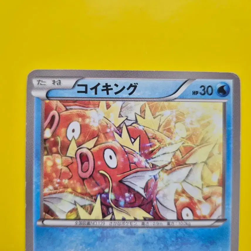 [BUNJANG] Pokemon Card Magikarp 1st Edition Battle Boost Japanese Limited / 포켓몬카드 극희소 대량 잉어킹 초판 배틀부스트 일판 일본판 1ed