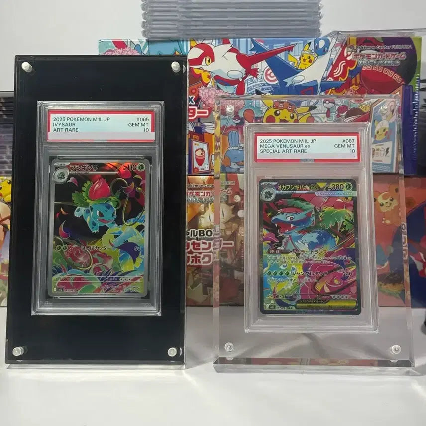 [BUNJANG] PSA Graded Card Acrylic Display Case / 포켓몬 카드 psa,brg 등급 카드용 아크릴 케이스