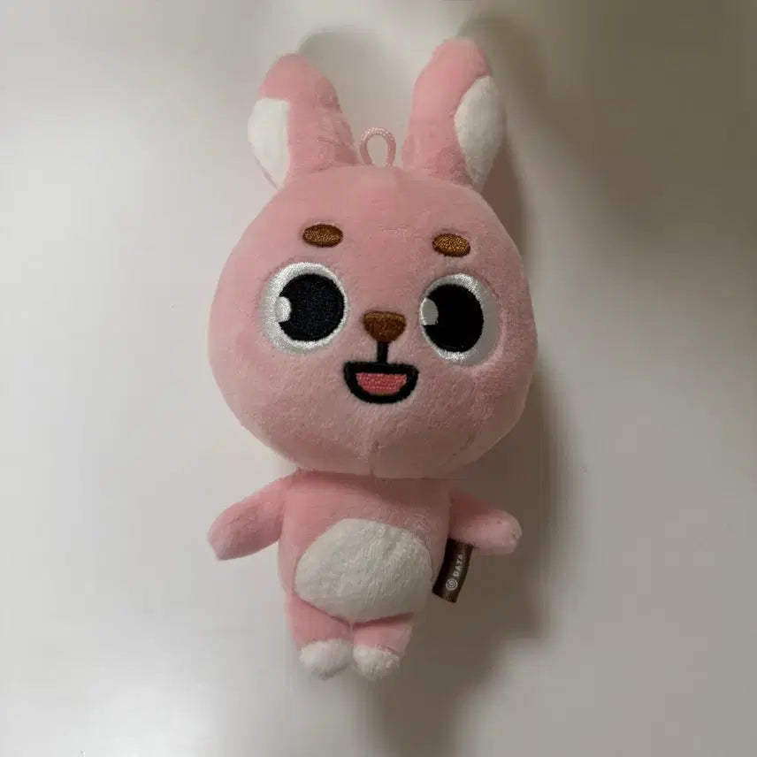 [BUNJANG] Day6 Dauphinz Wonpil Pilkki Doll / 데이식스 데니멀즈 원필 인형 필끼 2022