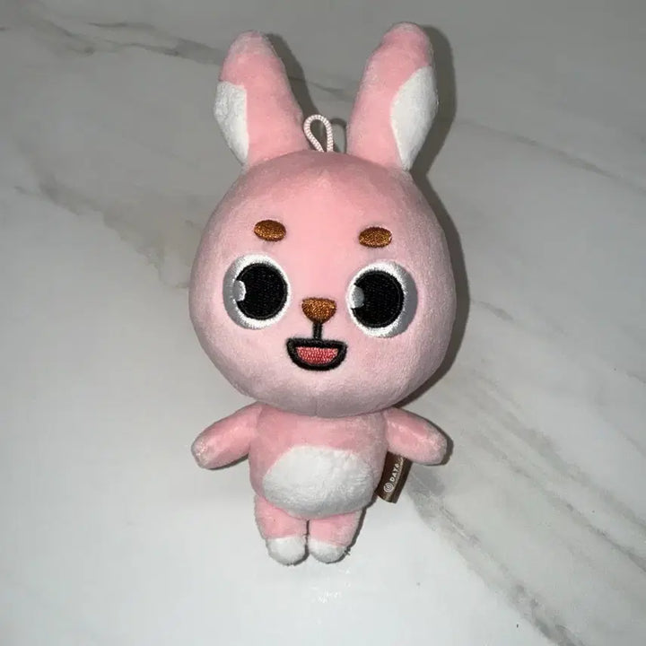 [BUNJANG] Day6 Dauphinz Wonpil Pilkki Doll / 데이식스 데니멀즈 원필 인형 필끼 2022