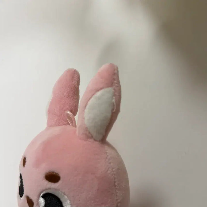 [BUNJANG] Day6 Dauphinz Wonpil Pilkki Doll / 데이식스 데니멀즈 원필 인형 필끼 2022