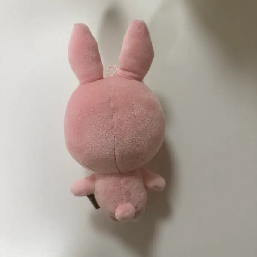[BUNJANG] Day6 Dauphinz Wonpil Pilkki Doll / 데이식스 데니멀즈 원필 인형 필끼 2022