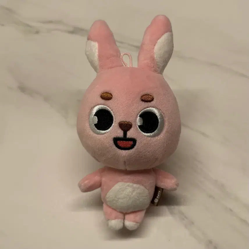 [BUNJANG] Day6 Dauphinz Wonpil Pilkki Doll / 데이식스 데니멀즈 원필 인형 필끼 2022