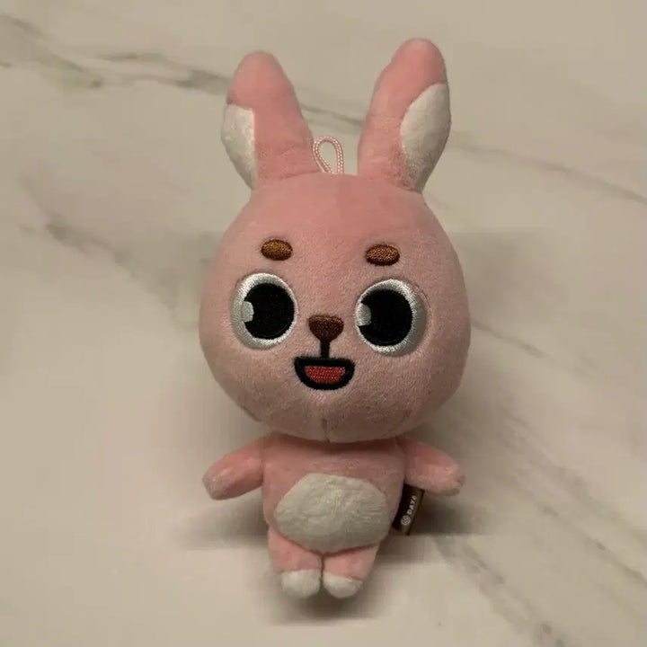 [BUNJANG] Day6 Dauphinz Wonpil Pilkki Doll / 데이식스 데니멀즈 원필 인형 필끼 2022