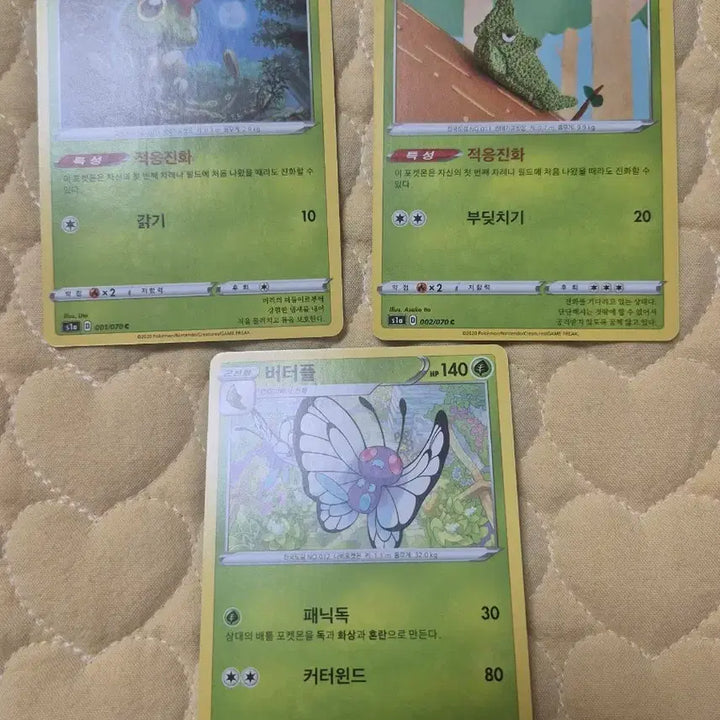 [BUNJANG] Pokemon Card Caterpie, Metapod, Butterfree Set (Album Use) / 포켓몬 카드 캐터피 단데기 버터플 세트 앨범용