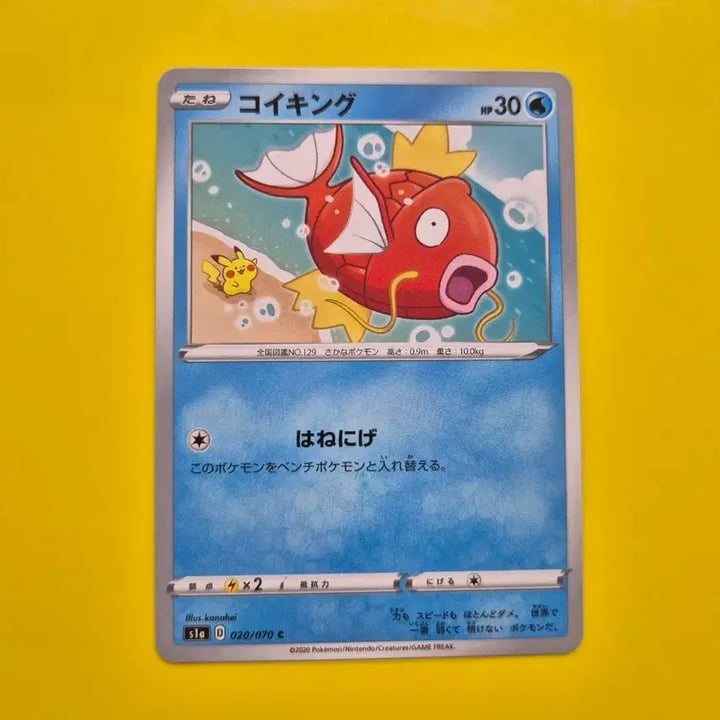 [BUNJANG] Pokemon Card Pikachu &amp; Magikarp (Japanese Edition) / 포켓몬카드 피카츄 등장 잉어킹 일판 일본판