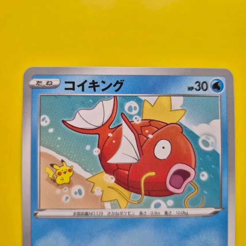 [BUNJANG] Pokemon Card Pikachu &amp; Magikarp (Japanese Edition) / 포켓몬카드 피카츄 등장 잉어킹 일판 일본판